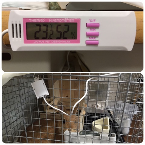 うさぎ用の温度計の設置方法の画像